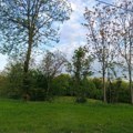 Danas promenljivo oblačno, mestimično sa kišom, temperatura do 30 stepeni