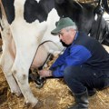Udruženje odgajivača goveda: Vlasnici malih gazdinstava, posle naplate subvencija prodaju stoku