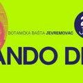 Koncert Mando Diao u nedelju 23. juna