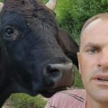 Ovo je čovek kojeg je ubio bik! Pronađen nedaleko od naselja gde mu je stado goveda bilo na ispaši (foto)