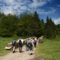 Planinski vodiči za Kraljevo i Loznicu - Povežite se s prirodom i upoznajte sebe