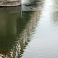 Strašna drama na Moravi! Detetu spala papuča u reku, otac skočio da je uhvati, pa mu pozlilo: Počeo da se davi