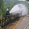 Požar kod Bovanskog jezera: Stradao dvadesetšestogodišnji mladić