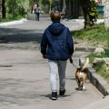 Dečak (12) iz Novog Sada raznežio Srbiju: Njegov oglas omekšao i najtvrđa srca, svi čitaju i dive se