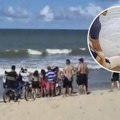 Horor na popularnoj plaži - ajkula odgrizla nogu devojci u Brazilu: Rođak uživao sa društvom, pa čuo vriske (video)
