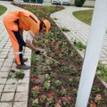 Ekipe „Mediane“ danas uređuju javne površine na više lokacija u Nišu