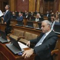 Ponoš (SRCE): Srbija će od posete Zelenskog dobiti jedno veliko ništa