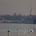 Privatno ostrvo kod Venecij na prodaju: Tvrđava iz Napoleonovog doba, dva pristaništa i 5.700 kvadrata zemljišta