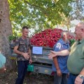 Dani paprike u Donjoj Lokošnici – 20 godina se slavi najpoznatiji leskovački brend