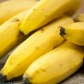 Rekordna zaplena: Policija pronašla 13 tona droge u bananama po narudžbini balkanskog kartela