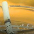 Само једна намирница има толику моћ да ублажи штетне ефекте пушења Крцата витаминима и минералима, одлична је за срце, крвне…