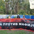 Godinu dana Šodroš kampa: Posečenih stabala 70, prijava protiv aktivista – 150