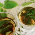 Urinarne infekcije prete, čaj protiv ešerihije koli po receptu starom 60 godina