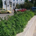 Scena iz centra grada u Bugarskoj kojoj ljudi ne prestaju da se smeju