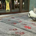 Kreni - promeni: Ponovo odbijen predlog za pritvor studenta FTN-a zbog sukoba ispred DIF-a