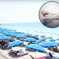 Ova plaža je najopasnija na svetu: Kupači dobili hitno upozorenje zbog predatora koji vrebaju u plićacima