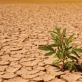 Upozorenje Evropi Klimatske promene i zagađenje prete prirodnim resursima: "Blizu smo prekretnice"