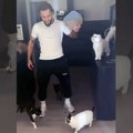 (Video) Gudelj ima pet mačaka u Sevilji okružile ga u dnevnoj sobi: Sestra Vanja se odmah oglasila