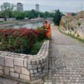 JKP „Mediana“ nastavlja uređenje zelenih površina i zamenu sezonske rasade