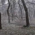 RHMZ upozorava: U pojedinim delovima Srbije stiže ledena kiša