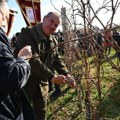 Obeležen Sveti Trifun Banoštorski vinari proslavili svoju slavu