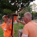 Prašenje cveća na Trgu Pavla Stojkovića