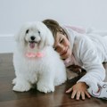 Preseljenje u drugu zemlju deca mnogo lakše podnose ako sa njima idu i kućni ljubimci, tvrde stručnjaci