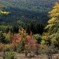 Vremenska prognoza za 27. avgust: Danas pretežno sunčano i toplo