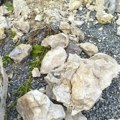 "Istorijska šteta je velika": Vandali napravili veliku štetu u arheološkom nalazištu "Anine" kod Lajkovca