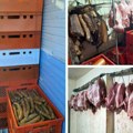U salašu noćajskom otkriveno više od 7 tona mesa bez dokumentacije! Iz neregistrovanog objekta stavljao u promet prerađevine…
