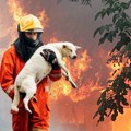 Vatrogasci u stravičnim požarima širom Evrope spasavaju i životinje: Dirljive scene preplavile internet, na ovo niko ne može…