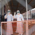 SZO: Ebola može da bude stavljena pod kontrolu za tri meseca
