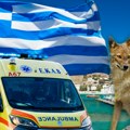 Dete iz Srbije napao šakal Horor u Grčkoj: Životinja ušla u šator i ugrizla ga za lice