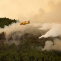 U požaru na Tenerifama izgorelo oko 2.600 hektara zemlje