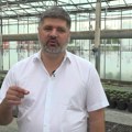 Naučnik Predrag Koluvija: Dok mu se sudi za organizovani kriminal, vlasnik „Jovanjice“ se hvali novim zasadima konoplje