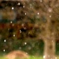 Za ova područja Srbije izdato hitno upozorenje za veću količinu padavina