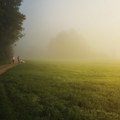 Amss upozorava Jutarnja i večernja magla usporava saobraćaj van gradova kamioni čekaju satima na izlazu iz Srbije