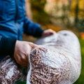 Stovarišta rade bez prestanka, pelet jeftiniji za 12.000 dinara! Ljudi na vreme koriste trenutak da uštede novac za ogrev