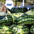 Da li se isplati uzgoj lubenica u Srbiji? Evo koliko košta kilogram i kako povećati zaradu