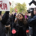 Interpol odbio zahtev Srbije za raspisivanje poternice za aktiviste STAV-a i PSG-a