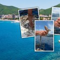 Ribari u Budvi izvukli mrežu, unutra bebe ajkule: Golim rukama uradili stvar zbog koje im ceo region skida kapu, evo kako da…