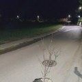 Laku noć iz Kragujevca! (VIDEO)