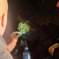 (Video) Nežnost u paklu vatrene stihije: Ovo je najdirljiviji prizor iz pepela Deliblatske peščare, naježićete se