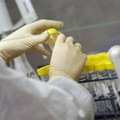 Virus Zapadnog Nila širi se Evropom: Više od 10 zemalja prijavilo slučajeve zaraze