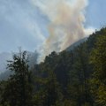 Požar u Liparu blizu Jagodine pod kontrolom, gorelo oko 20 hektara trave i rastinja
