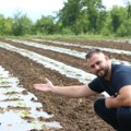 Aleksa Aničić iz Ježevice jedan od najvećih proizvođača dinje u tom kraju: Dinja, omiljena letnja poslatica ovog leta…