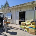 Poljoprivredno-veterinarska škola iz Rekovca donirala 1.000 glavica zelene salate Narodnoj kuhinji kragujevačkog Crvenog…