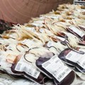 Crveno-bela krv: Navijači Zvezde dobili tradicionalni humani poziv, a tu su i karte za Seltik...