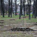 Kragujevac nastavlja ozelenjavanje – 2.000 novih stabala do kraja godine