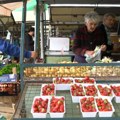 Skoro da nećemo ni videti trešnje ove godine, a cene domaćih jagoda na pijaci skaču! Poljoprivrednici za Kurir televiziju…